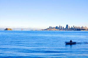 A person rows a small boat on blue water, the city skyline and suspension bridge visible, perhaps dreaming of perfect pest control back home.