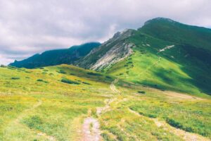 A dirt path winds through a grassy, green hillside—well-kept thanks to expert pest control—leading up to a mountain under a cloudy sky.