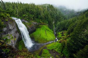 Tall waterfall flows into a green valley, where mist rises above the evergreens, naturally aiding pest control beneath cloudy skies.