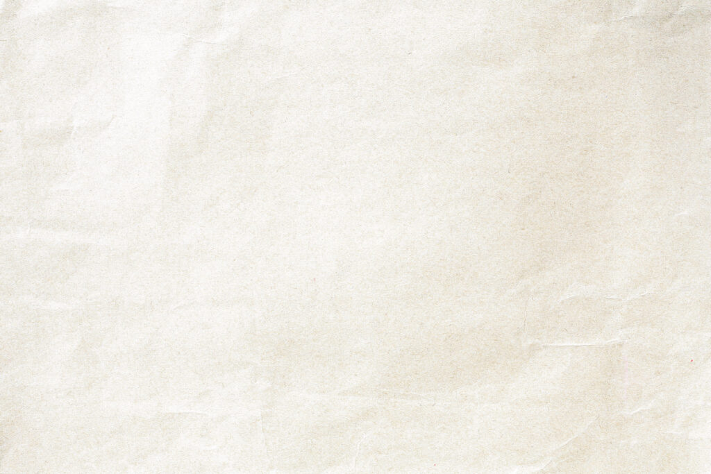 A sheet of off-white, textured paper with slight creases—perfect for jotting down pest control notes or inspection records.